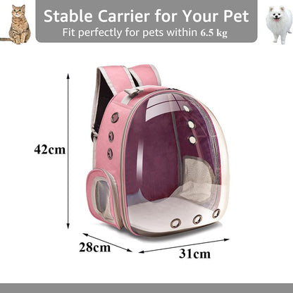 PetView – Ergonomic Transparent Cat Backpack